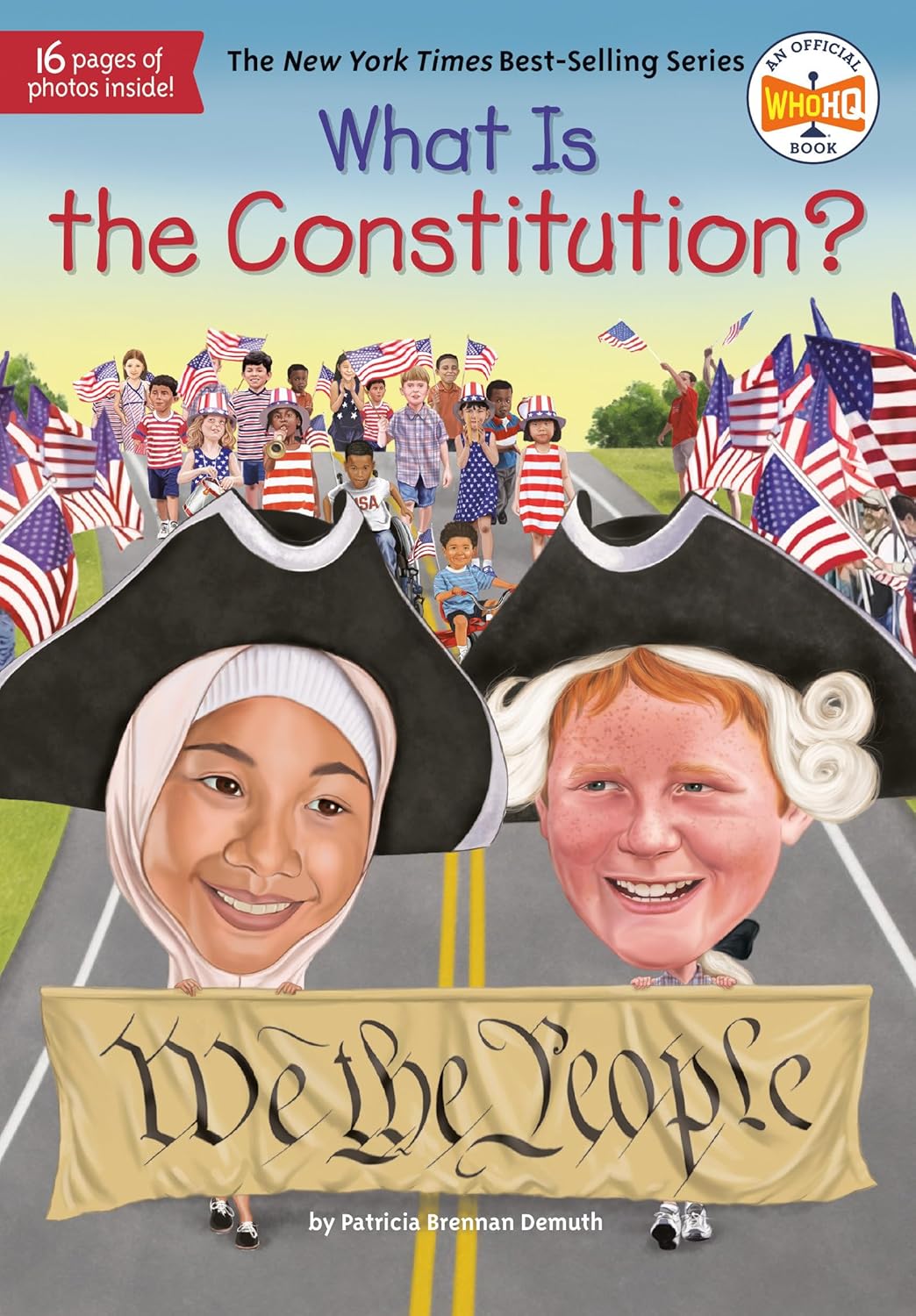 What is the Constitution Book Cover.